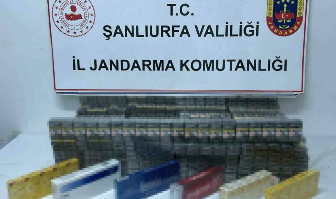 Şanlıurfa’da bin 960 paket kaçak sigara ele geçirildi Şanlıurfa'da Jandarma ekipleri tarafından gerçekleştirilen operasyonda bin 960 paket sigara,