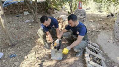 Şanlıurfa'nın Karaköprü ilçesinde foseptik çukuruna düşen köpek yavrusu, şehir itfaiye