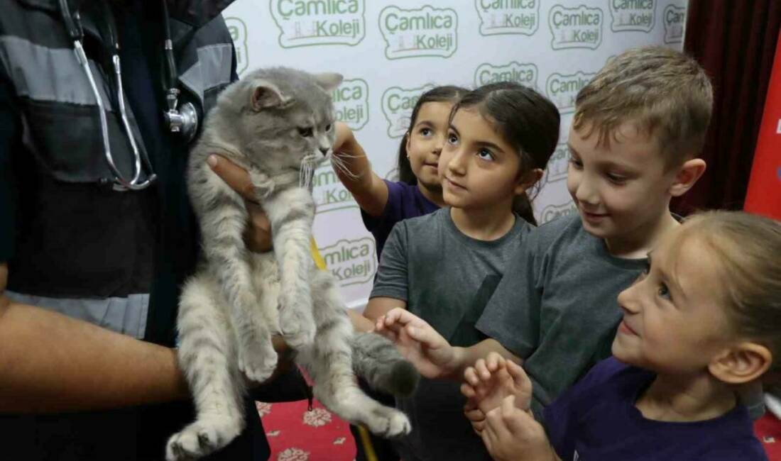 Şanlıurfa Büyükşehir Belediyesi, 4 Ekim Dünya Hayvanları Koruma Günü kapsamında