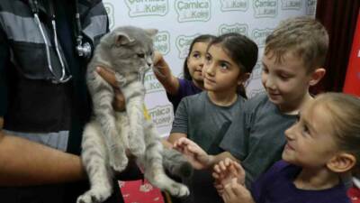 Şanlıurfa Büyükşehir Belediyesi, 4 Ekim Dünya Hayvanları Koruma Günü kapsamında