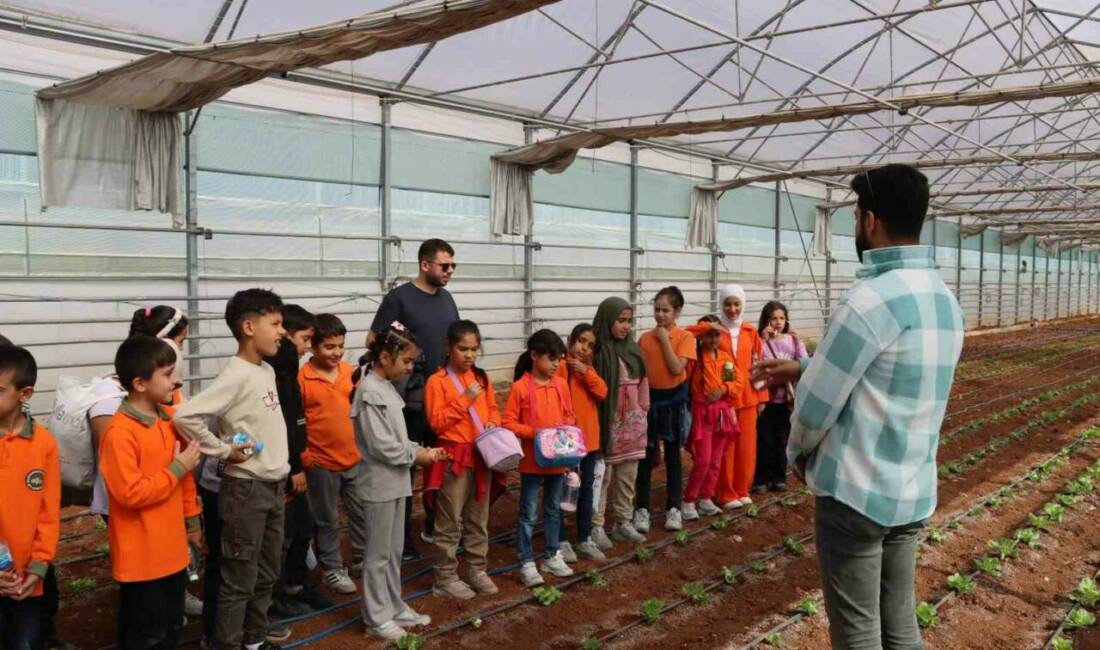 Şanlıurfa Büyükşehir Belediyesi tarafından başlatılan Doğaya Bir Adım Projesi'nin ilk