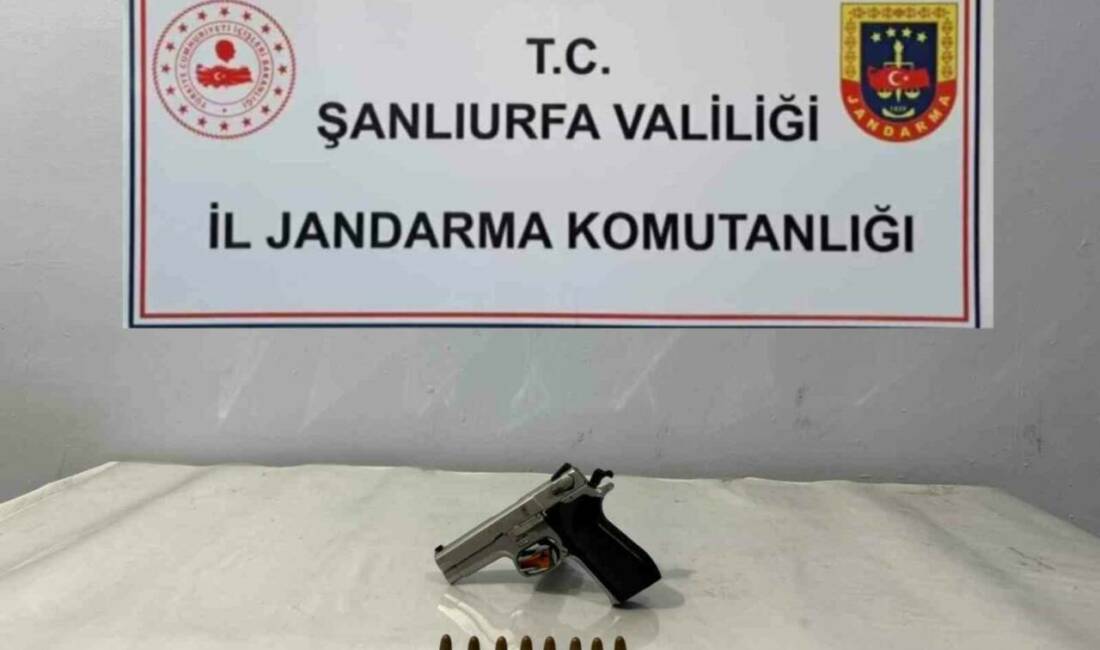 Şanlıurfa'nın Viranşehir ilçesinde jandarma ekipleri tarafından yapılan operasyonda ruhsatsız bir