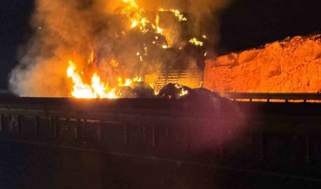 Şanlıurfa'da Viranşehir-Şanlıurfa karayolunda seyir halinde olan saman yüklü bir tır