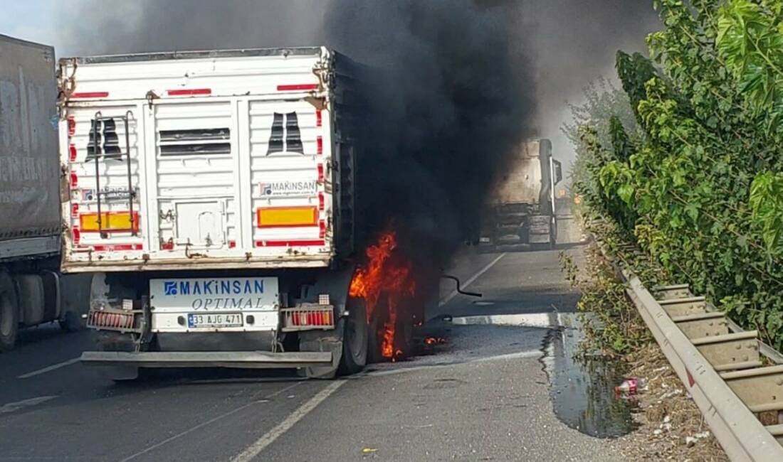 Şanlıurfa'nın Viranşehir ilçesinde seyir halindeki bir tırın tekerleklerinden duman yükselmesi
