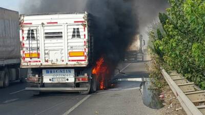 Şanlıurfa'nın Viranşehir ilçesinde seyir halindeki bir tırın tekerleklerinden duman yükselmesi