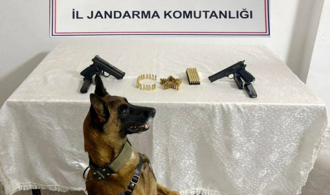 Şanlıurfa'da silah kaçakçılığı operasyonu düzenlendi. Operasyon sonucunda 9 tabanca, 2