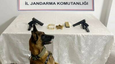 Şanlıurfa'da silah kaçakçılığı operasyonu düzenlendi. Operasyon sonucunda 9 tabanca, 2