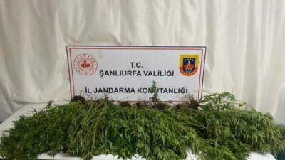 Şanlıurfa'da Jandarma ekipleri tarafından yapılan operasyonlarda silah, uyuşturucu madde ve