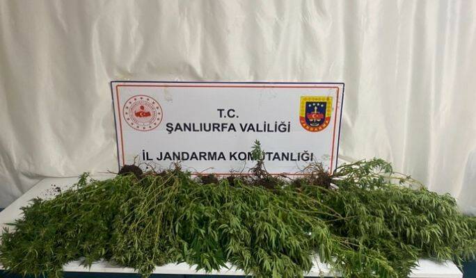 Şanlıurfa'da Jandarma ekipleri tarafından yapılan operasyonlarda silah, uyuşturucu madde ve