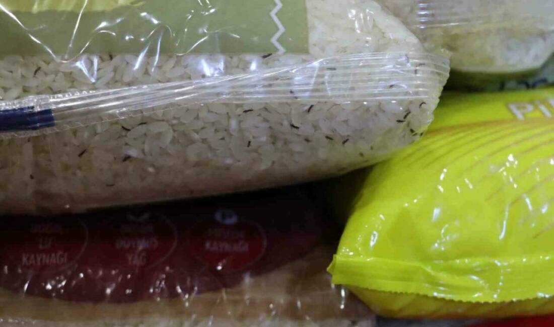 Şanlıurfa’da tarihi geçmiş ve kurtlanmış yüzlerce ürün ele geçirildi Şanlıurfa'da yapılan market denetimlerinde kurtlanan pirinç, bozulmuş tavuk, peynir, yoğurt,