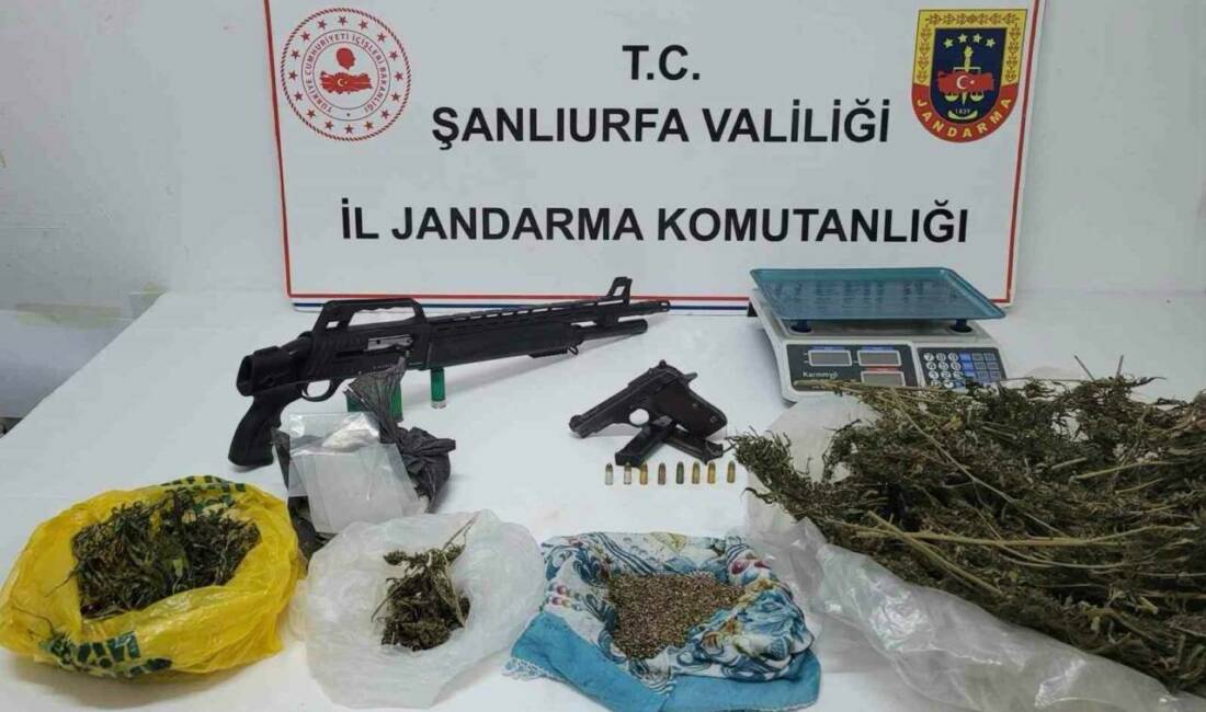 Şanlıurfa'da yapılan bir operasyonda jandarma ekipleri tarafından uyuşturucu madde ve