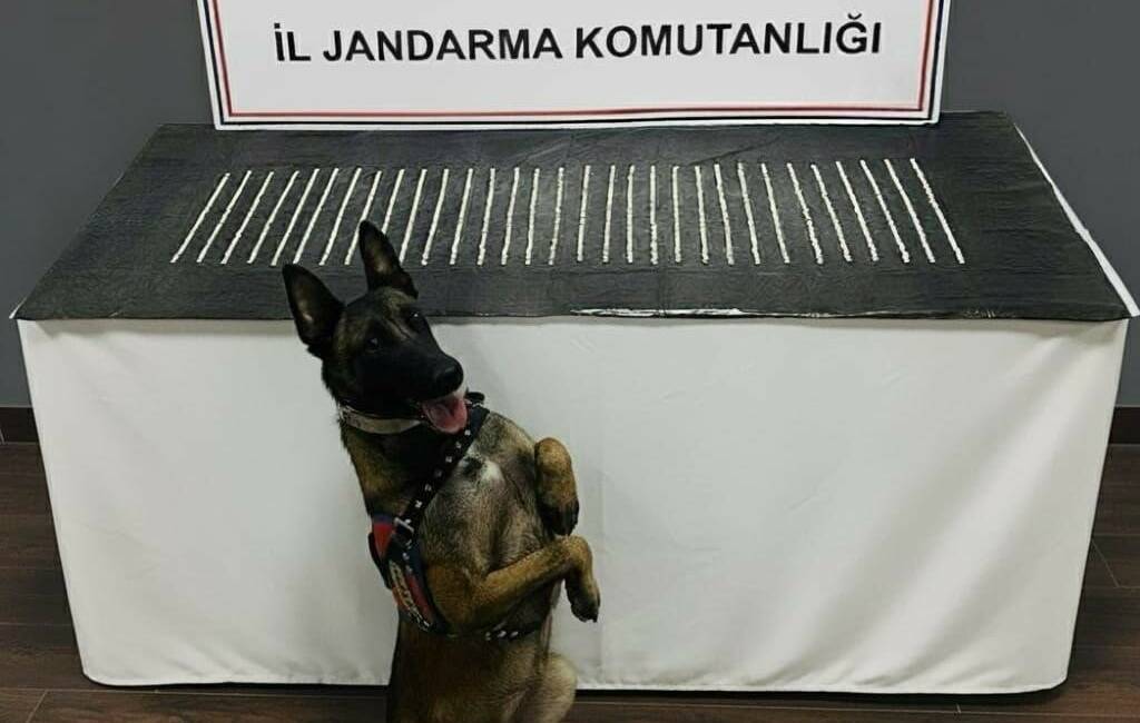 Şanlıurfa’da uyuşturucu operasyonu: 3 gözaltı Şanlıurfa’da jandarma tarafından düzenlenen operasyonda çok sayıda uyuşturucu madde ele