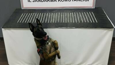 Şanlıurfa’da jandarma tarafından düzenlenen operasyonda çok sayıda uyuşturucu madde ele