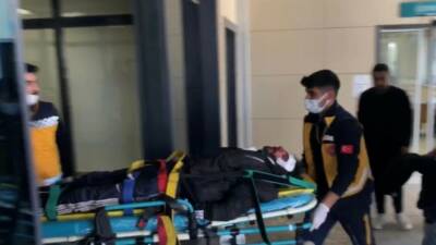 Şanlıurfa'nın Ceylanpınar ilçesinde yol kenarına terk edilmiş ve silahla vurulmuş