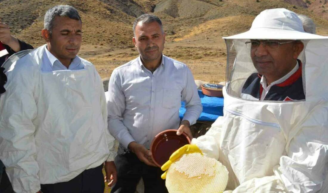 Siirt'in Pervari ilçesinde bulunan Çemikari Yaylası'nda gerçekleştirilen karakovan balı hasadına