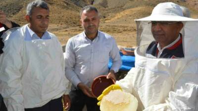 Siirt'in Pervari ilçesinde bulunan Çemikari Yaylası'nda gerçekleştirilen karakovan balı hasadına