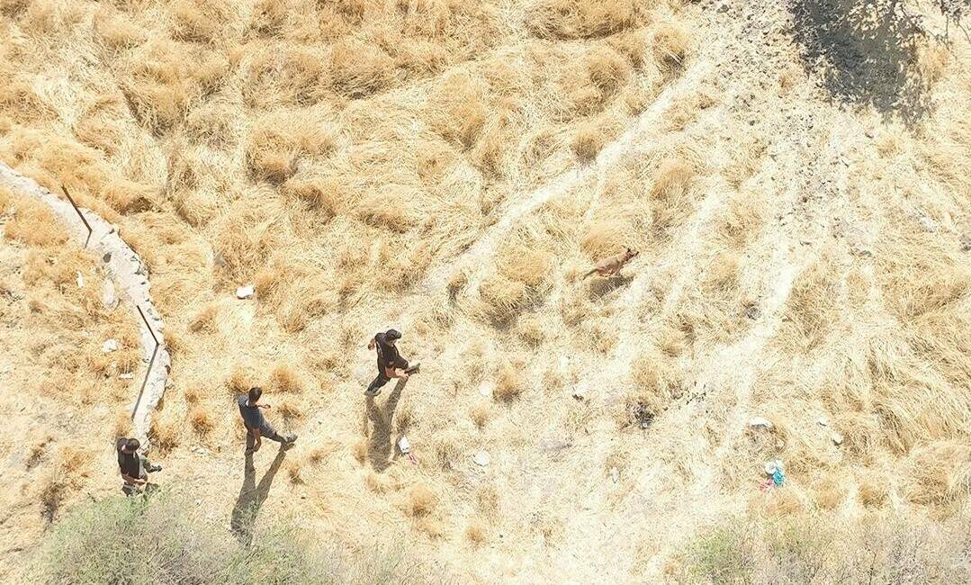Siirt'te kaybolan 83 yaşındaki alzaymır hastası Ramazan Batur'u bulmak için