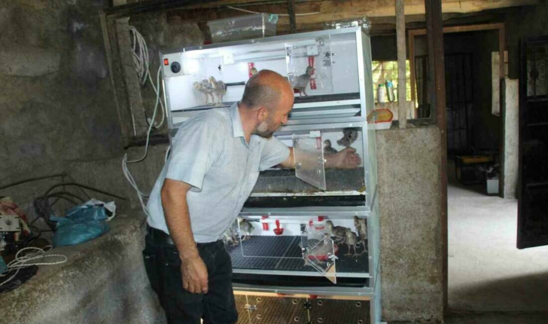 Uludere ilçesinde ailesine bakan çiftçi Mahmut Yaman, evinden uzakta çalışamadığı