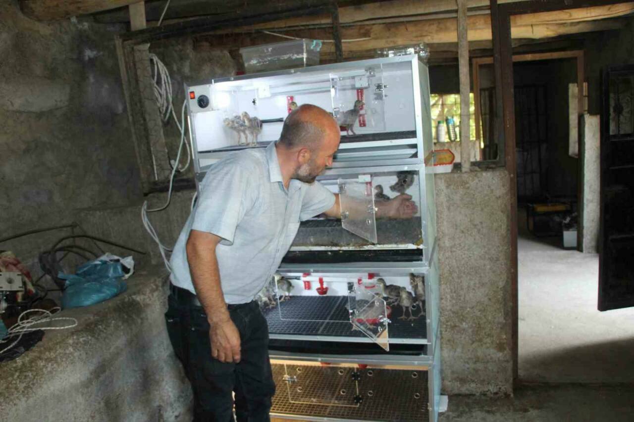 Uludere ilçesinde ailesine bakan çiftçi Mahmut Yaman, evinden uzakta çalışamadığı