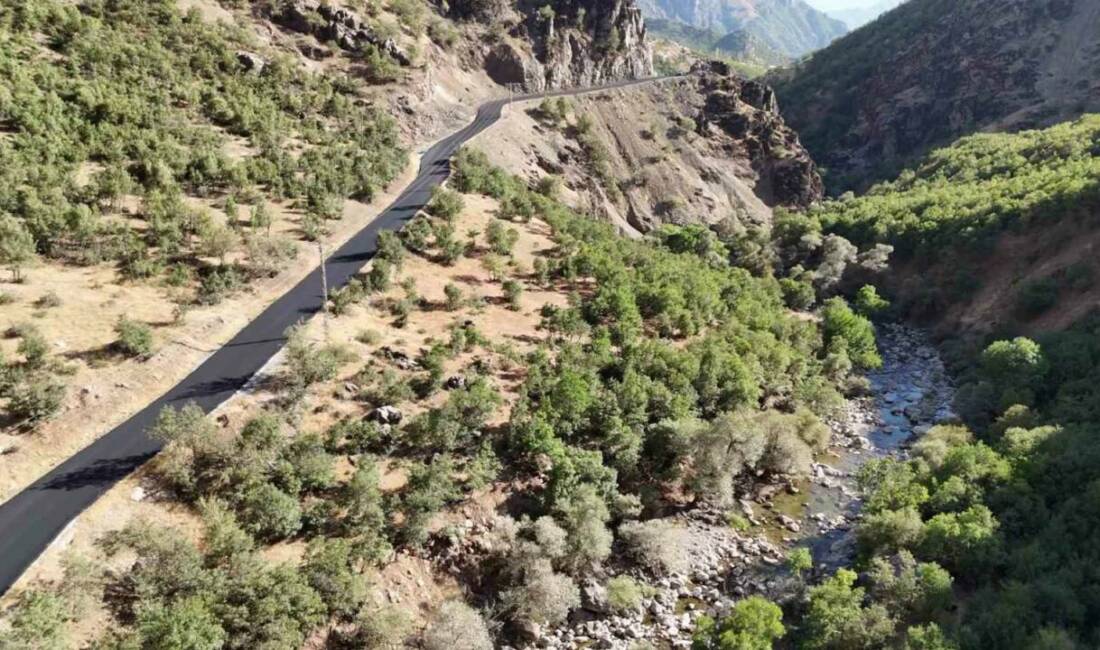 Şırnak’ta 104 kilometrelik yol tamamlandı AK Parti Şırnak Milletvekili Arslan Tatar, 2025 yılı yatırım programı