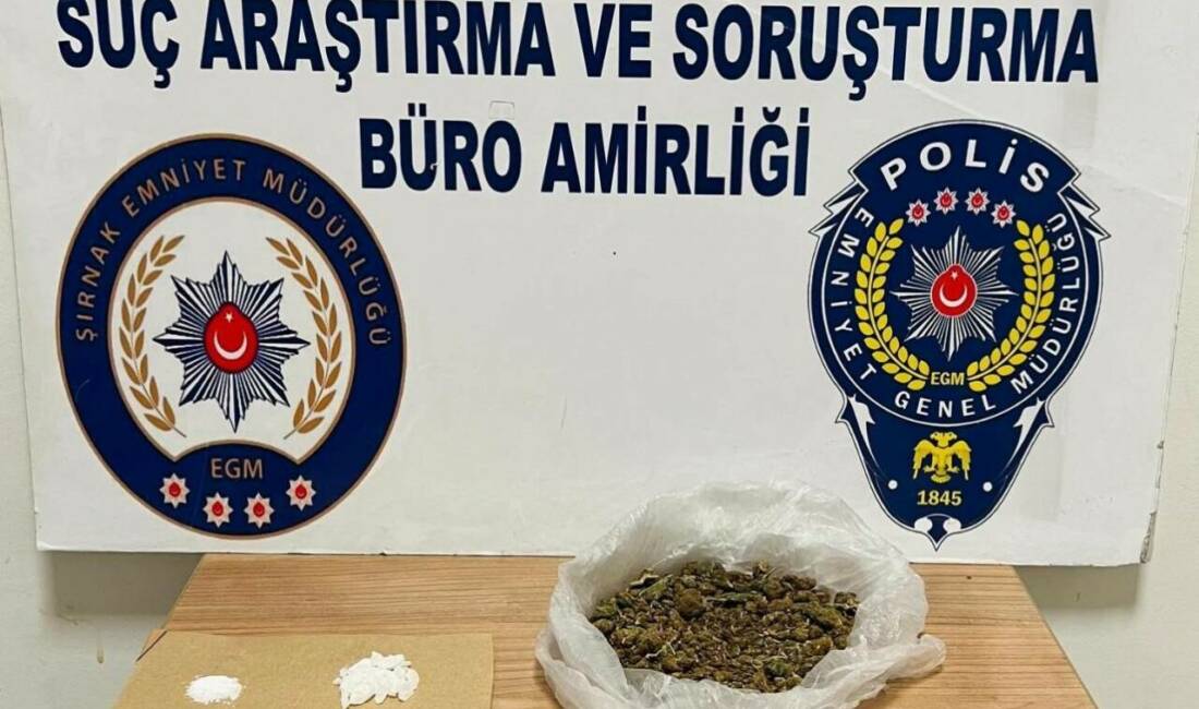 Şırnak İl Emniyet Müdürlüğü Narkotik Şube Müdürlüğü ekipleri, Narko-Alan uygulaması
