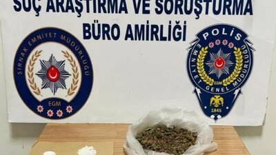 Şırnak İl Emniyet Müdürlüğü Narkotik Şube Müdürlüğü ekipleri, Narko-Alan uygulaması