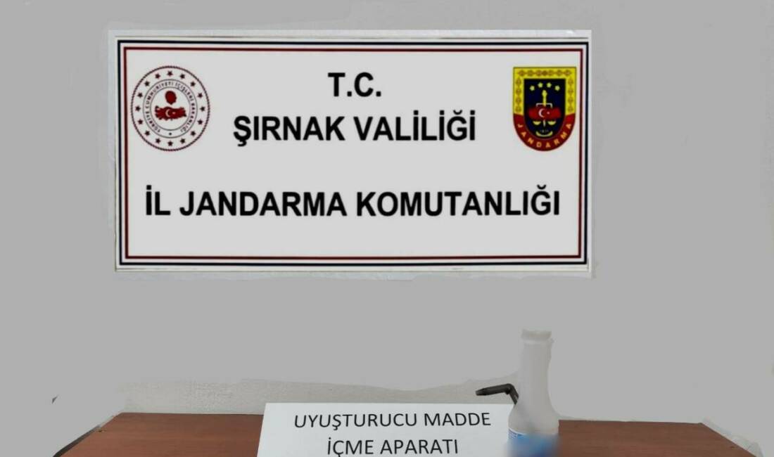 Şırnak'ta gerçekleştirilen bir haçakçılık operasyonunda 102 şüpheli gözaltına alındı. Operasyonda
