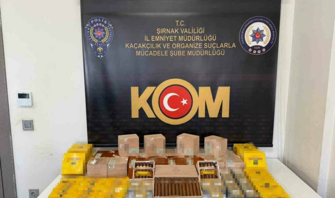 Şırnak İl Emniyet Müdürlüğü ekipleri, il merkezi ve ilçelerinde narkotik,