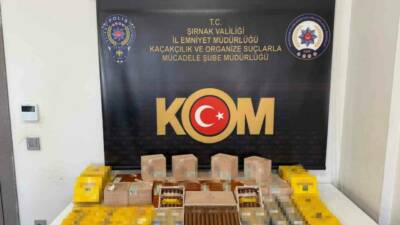 Şırnak İl Emniyet Müdürlüğü ekipleri, il merkezi ve ilçelerinde narkotik,