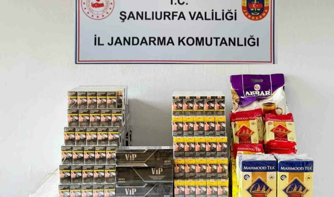 Viranşehir ilçesinde jandarma ekipleri tarafından gerçekleştirilen operasyonda 2 bin 865