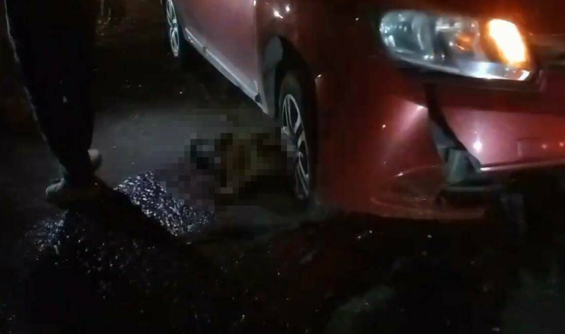 Silvan ilçesindeki bir mandanın yolun ortasında doğum yaparken otomobil çarpması