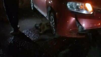 Silvan ilçesindeki bir mandanın yolun ortasında doğum yaparken otomobil çarpması