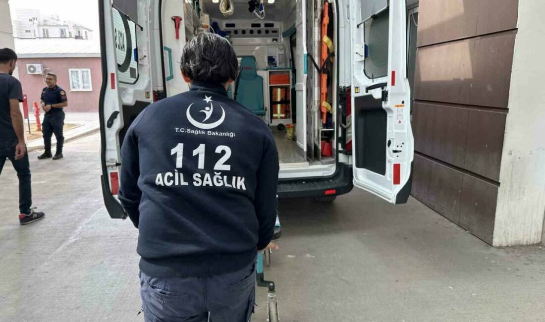 Adıyaman'ın Fatih Mahallesi'nde zeytin toplamak için ağaca çıkan bir kişi