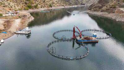 Diyarbakır’ın Çüngüş ilçesinde Atatürk Barajı havzasında kurulan 500 ton kapasiteli