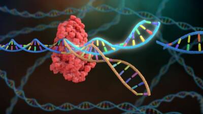 Bilim insanları, CRISPR teknolojisi kullanarak akciğer kanserinde kemoterapi direncinde rol