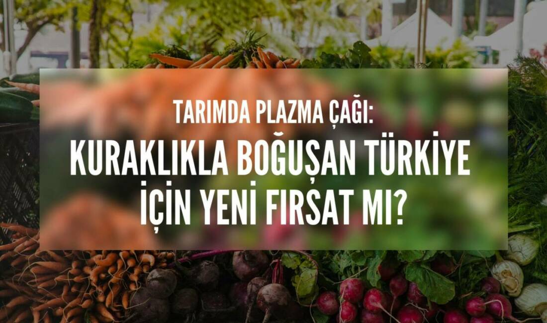 Soğuk plazma ile tohum ve sulama suyu işlemi, İran’dan Endonezya’ya