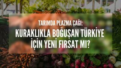 Soğuk plazma ile tohum ve sulama suyu işlemi, İran’dan Endonezya’ya