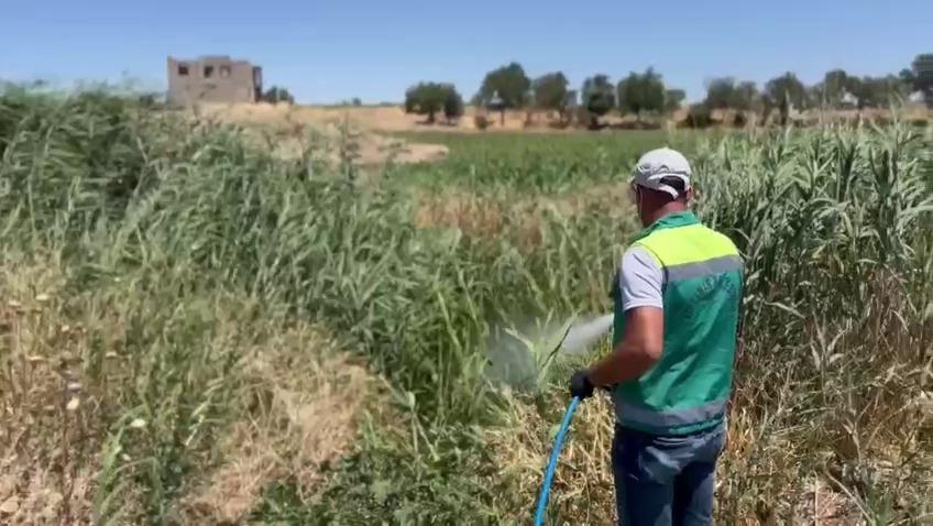 Adıyaman Belediyesi larva mücadelesini yoğunlaştırdı Adıyaman Belediyesi Park ve Bahçeler Müdürlüğü’ne bağlı ilaçlama ekipleri, kent