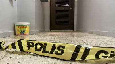 Diyarbakır'da bir şahsın annesini ve ağabeyini öldürmesi olayının detayları ortaya