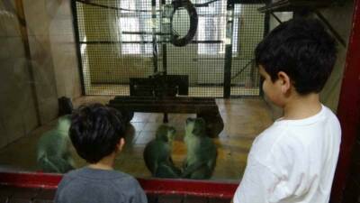 Öğrenciler ara tatilde Gaziantep Doğal Yaşam Parkı'nı ziyaret etti ve