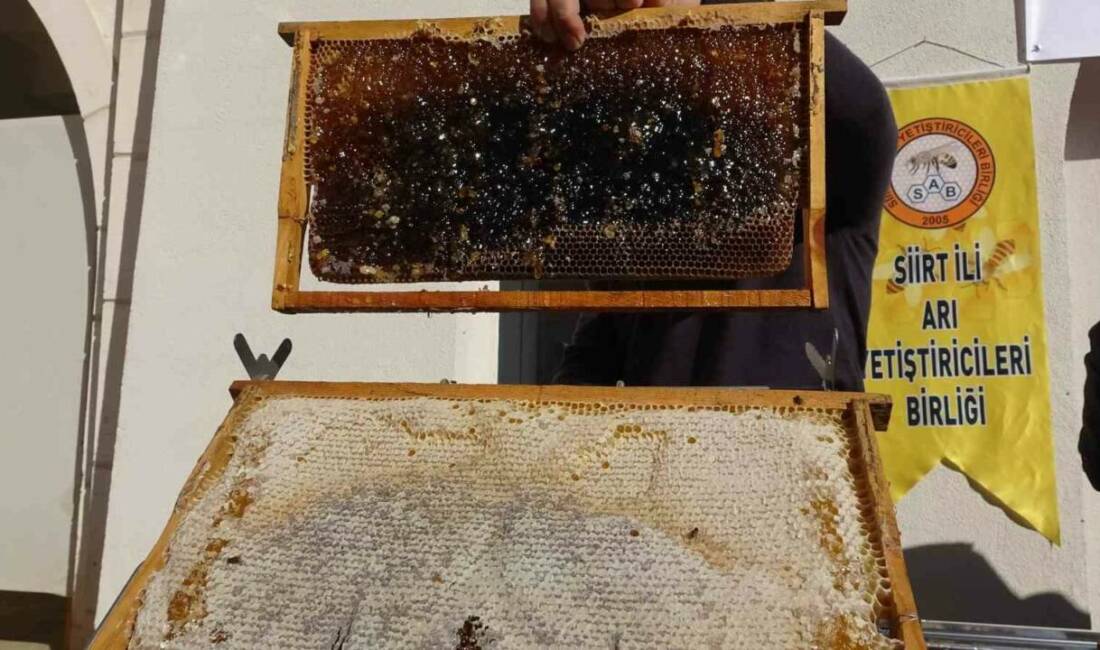 Arıcılara 41 milyon 436 bin liralık destek Siirt Valisi Kemal Kızılkaya, IPARD programı kapsamında 16 bin 695