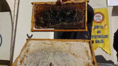 Siirt Valisi Kemal Kızılkaya, IPARD programı kapsamında 16 bin 695