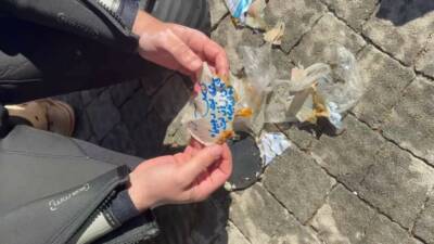 Diyarbakır’da itfaiye ekipleri, Eğil ilçesindeki barajda temizlik çalışması gerçekleştirdi. İtfaiye