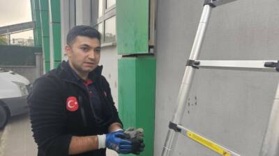 Batman'da Pınarbaşı Taziye Evi'nin dışında sıkışan bir kuş, Batman Belediyesi