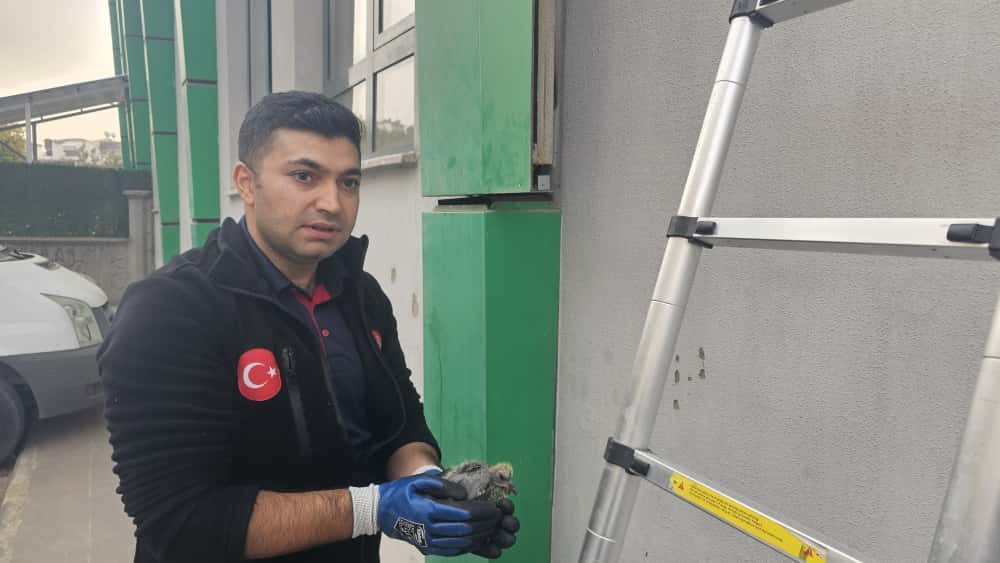 Batman'da Pınarbaşı Taziye Evi'nin dışında sıkışan bir kuş, Batman Belediyesi