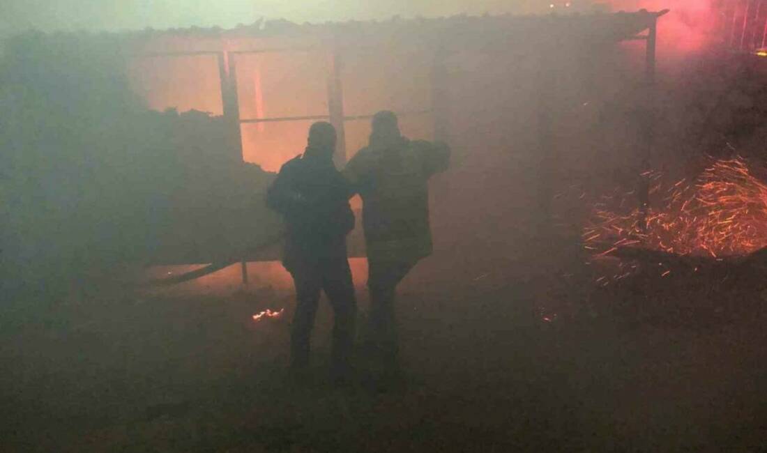 Besni ilçesinde bir düğün salonunun yanında bulunan boş konteynerde çıkan