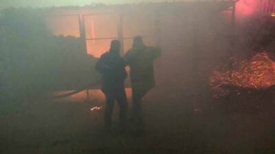 Besni ilçesinde bir düğün salonunun yanında bulunan boş konteynerde çıkan