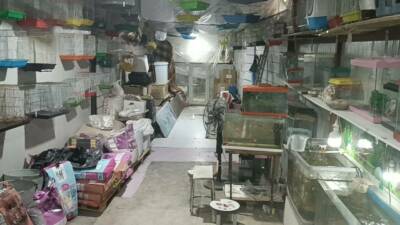 Adıyaman'da camını kırdıkları petshop'tan 9 papağan ile bir miktar para