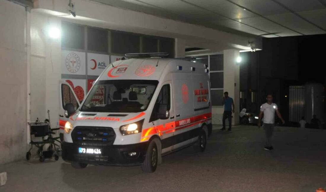 Cizre ilçesinde bir kafede yedikleri pizzadan zehirlenerek hastaneye kaldırılan 4