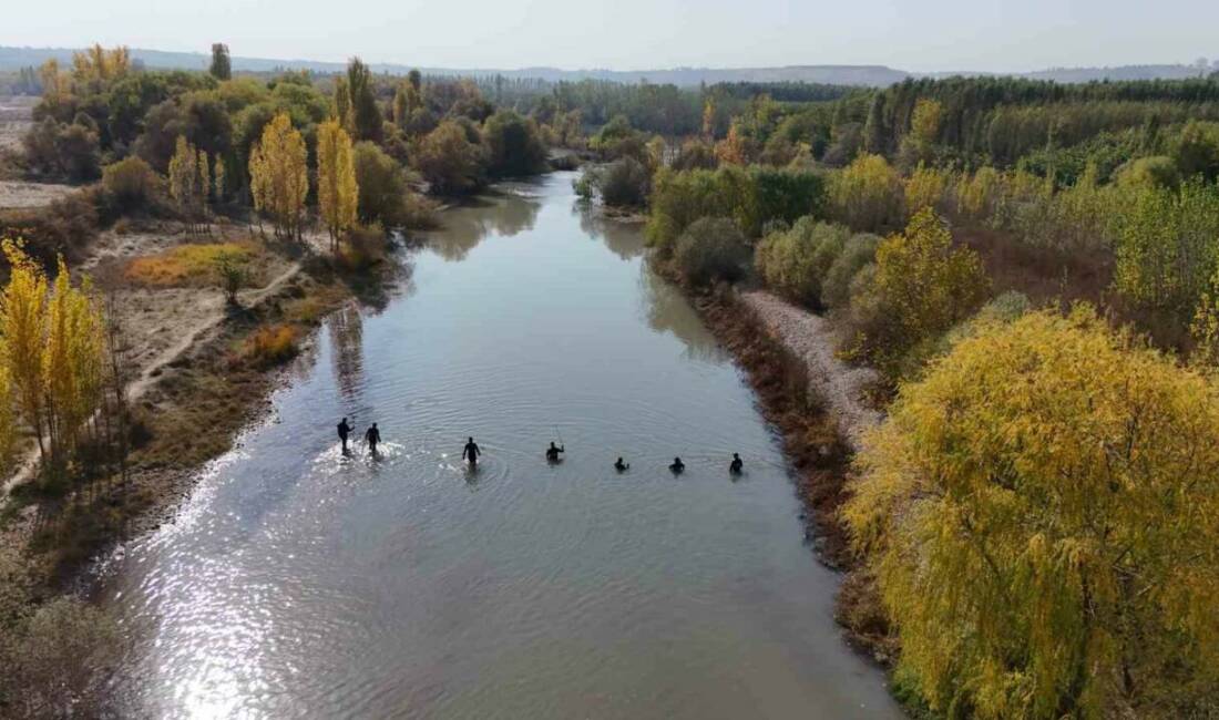 Dicle Üniversitesi’nde tedavi gören polis memuru kayboldu Dicle Üniversitesi Hastanesinde tedavi gören Hakkari'de görevli polis memuru, perşembe